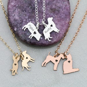 Custom Pet Charm Necklace: Sterling Silver Dog Cat Memorial Jewelry