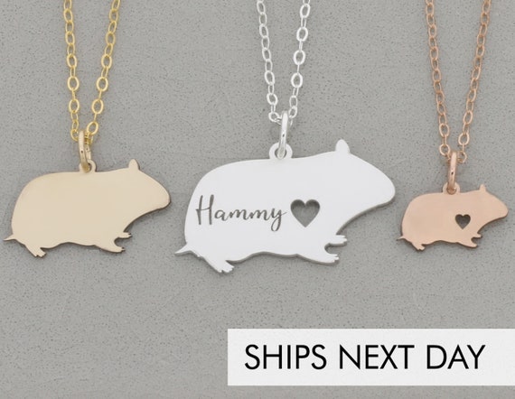 ceva feliway diffuser