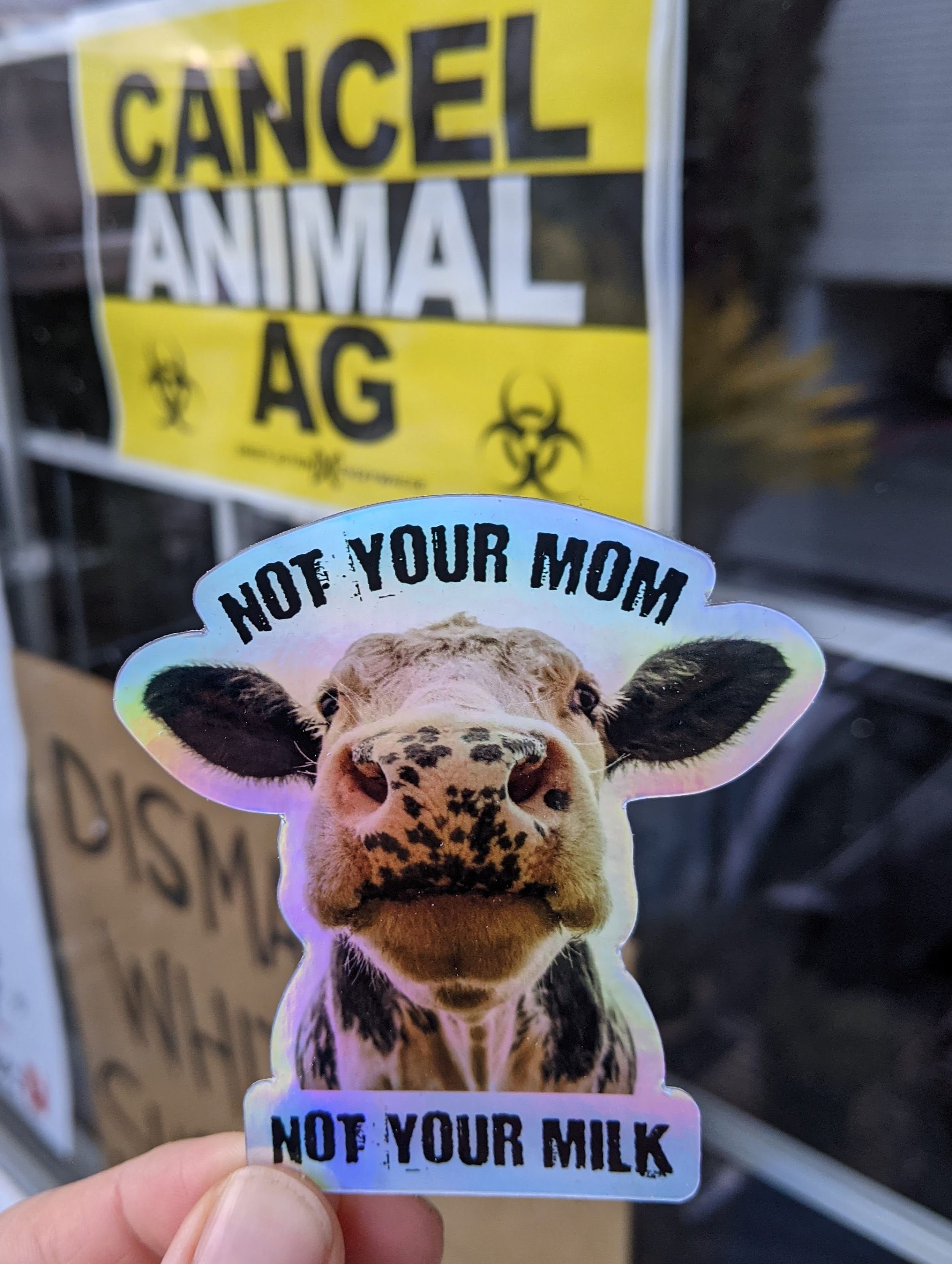 Not Your Mom, Not Your Milk Sticker - Etsy
