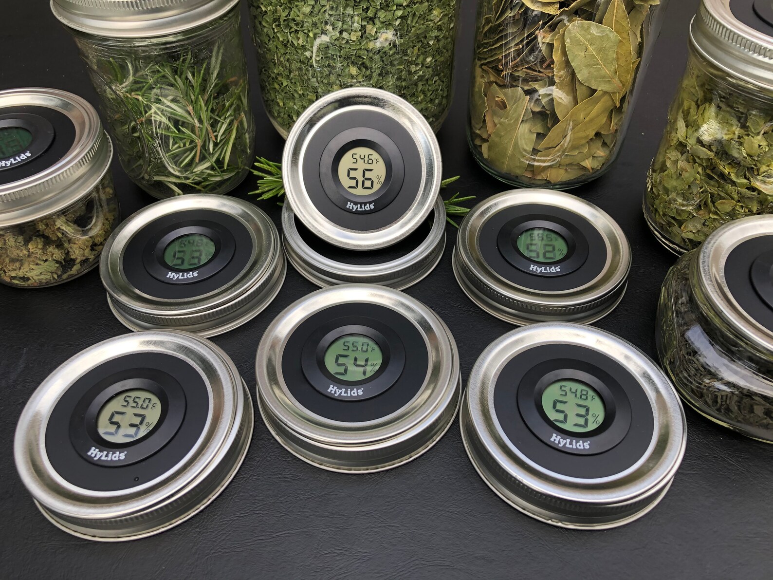 Hylids Curing Jar Hygrometer Lids Make Great Herb Storage Etsy
