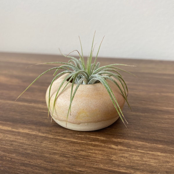 Yellow Round Bud Vase or Air Plant Holder | Miniature Ceramic Bowl