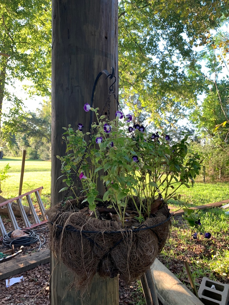 Hand Hanging Basket Hook Etsy