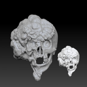 Joseph Merrick, The Elephant Man life-size skull reproduction image 6