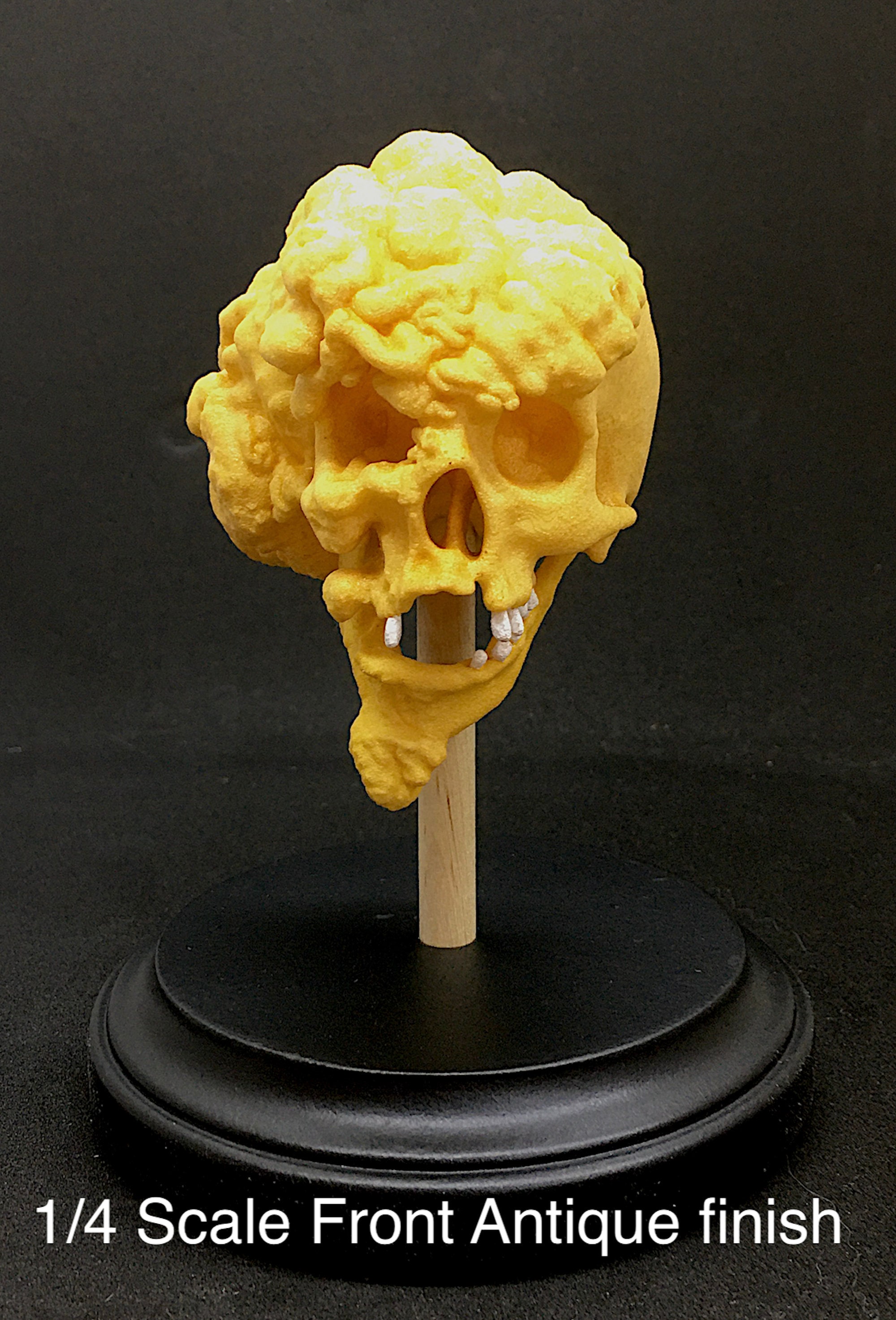 ジョセフ・メリック『エレファント・マン』1/4スケールの頭蓋骨の複製