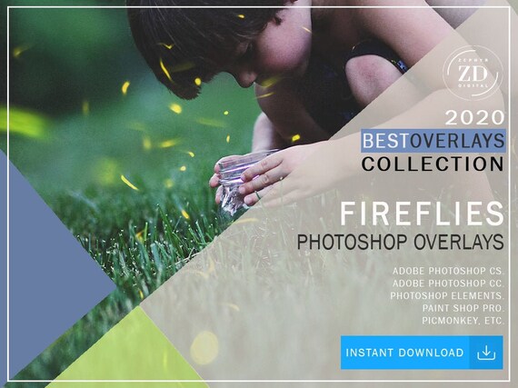 35 Realistische Gluhwurmchen Photoshop Overlays Wald Etsy