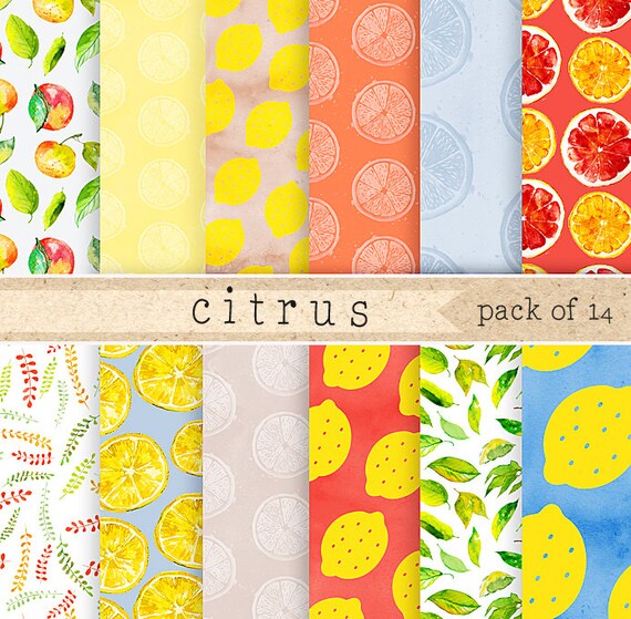 Download Citrus Digital Paper Orange Scrapbook Pattern Set Yellow Lemon Blog Background Pack With Grapefruit Tangerine And