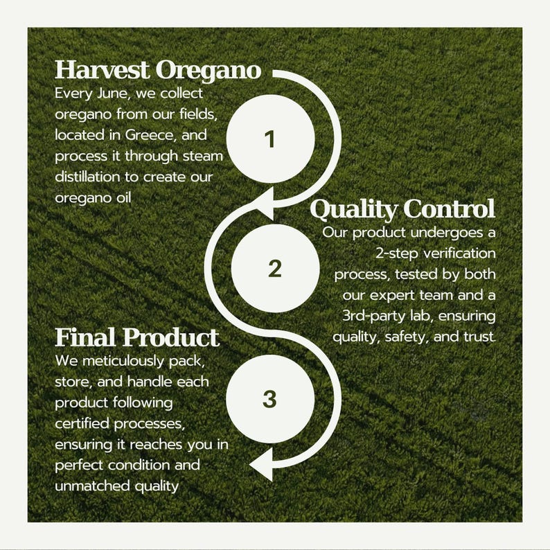 Flowchart showing oregano oil production: Step 1 - Oregano is harvested in June and steam-distilled. Step 2 - A two-step quality control process ensures product safety. Step 3 - Final product is packed and handled with care for top quality.
