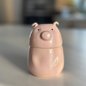 Pink Pig Pottery Jar with Lid, Tea Coffee Spices Canister, Big Lidded Mug