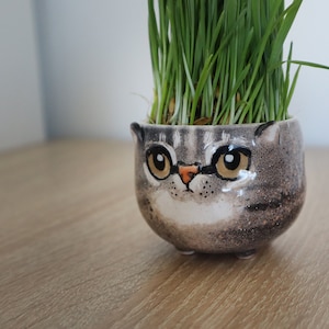 Custom Cat Portrait Pot | Pottery Seedling Planter | Personalized Pet Cactus Dish | Ceramic Succulent, Cat Mom Lover Gift, Pet Loss Gift