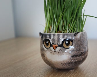 Aangepaste kattenportretpot | Aardewerk zaailing plantenbak | Gepersonaliseerde huisdiercactusschotel | Keramische succulent, kat moeder minnaar cadeau, huisdier verlies cadeau