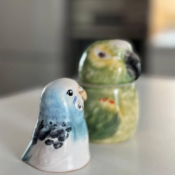 Custom Parrot Portrait Urn: Personalized Pet Bird Ashes Pottery Keepsake