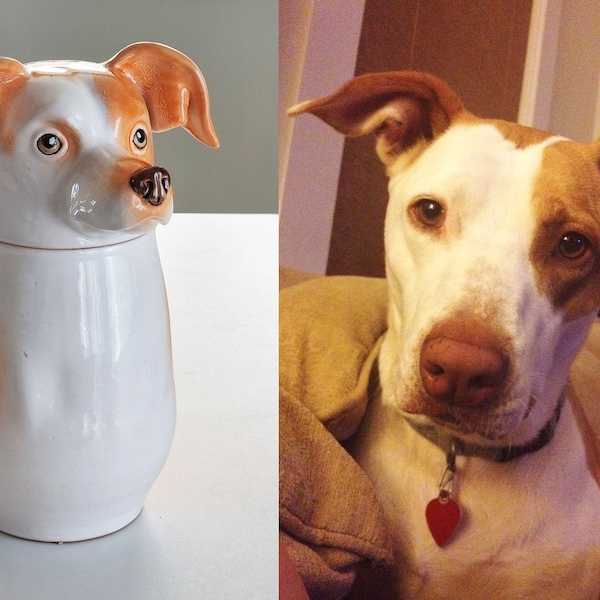 Personalized Cookie Jar with Lid | Dog and Cat Pottery Canister | Custom Portrait Pet Food Container | Cat Treats Storage Canister