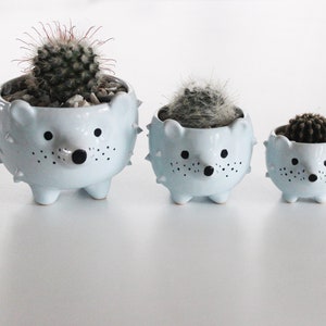 Hedgehog Pottery Indoor Flower Pot | Blue Gray Cactus Dish | Small Ceramic Succulent Seedling Planter | Housewarming Gift