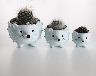 Hedgehog Pottery Indoor Flower Pot | Blue Gray Cactus Dish | Small Ceramic Succulent Seedling Planter | Housewarming Gift