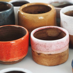 Puede incluir: Una colección de pequeñas macetas de cerámica de colores con diferentes esmaltes y acabados. Las macetas son perfectas para exhibir plantas pequeñas o suculentas.