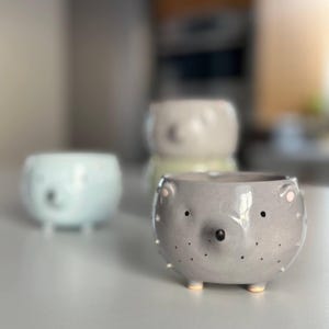 Vaso da fiori per interni in ceramica a forma di riccio / Piatto per cactus blu-grigio / Piccolo vaso in ceramica per piantine succulente / Regalo di inaugurazione della casa