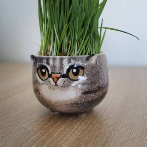 Custom Cat Portrait Pot: Ceramic Pet Planter, Cat Lover Gift