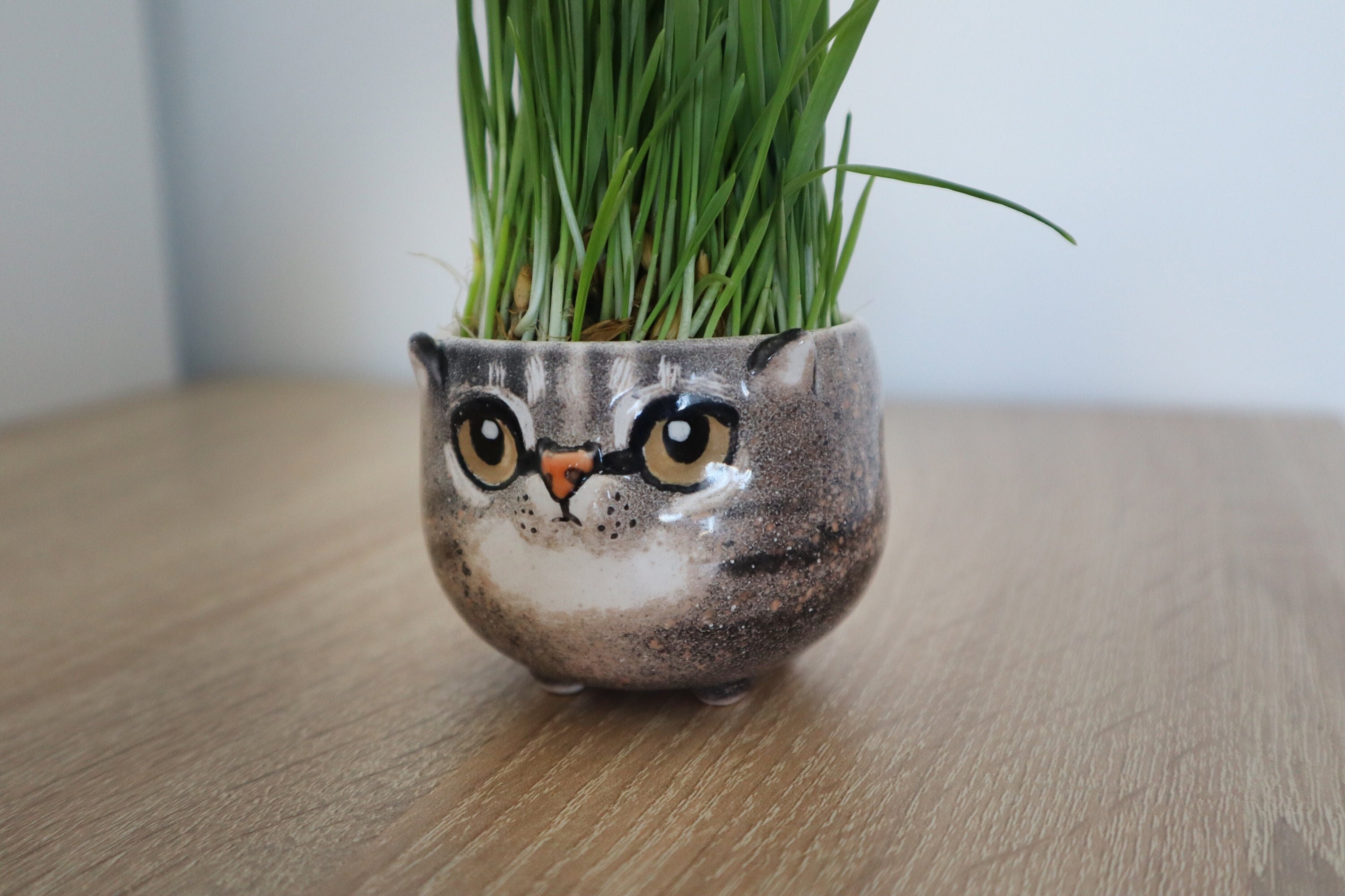 Custom Cat Portrait Pot | Pottery Seedling Planter | Personalized Pet Cactus Dish | Ceramic Succulent, Cat Mom Lover Gift, Pet Loss Gift