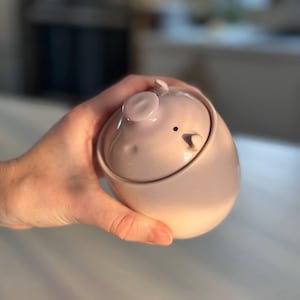 Rosa Schwein Keramik Aufbewahrungsschale, Keramik Vorratsdose, Küche Dekor