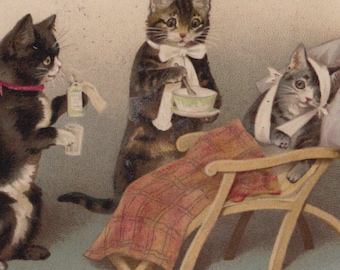 1900 年代のオリジナル擬人化猫とドレッシングミラーアーティスト