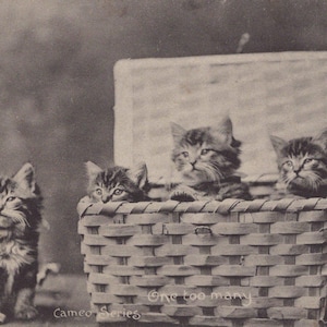 Puede incluir: Postal vintage en tonos sepia con cuatro gatitos atigrados. Tres gatitos están en una cesta de mimbre con la tapa abierta, y el cuarto gatito está fuera. El texto "One too many" es visible en la cesta.