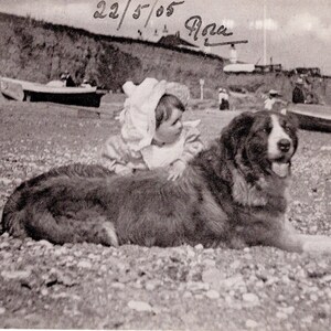 Original 1900s Little Boy & St Bernard on the Beach Antique Postcard Vintage Victorian Edwardian Dog image 1