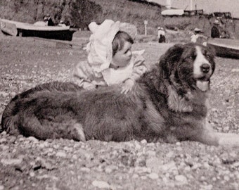 Original 1900s Little Boy & St Bernard on the Beach Antique Postcard - Vintage Victorian Edwardian Dog