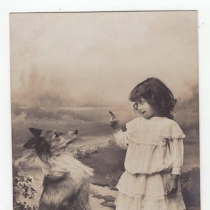 Rough Collie des années 1910 et petite fille carte postale ancienne - chien vintage victorien édouardien pour enfants