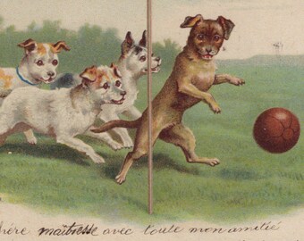 Original 1900s Jack Russell Terriers Playing Football Artist Helena Maguire Postcard - Vintage Dog Victorian Edwardian Litho Anthropomorphic