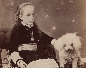 Original 1880s Little Girl & Maltese Dog CDV Photo - Carte de Visite Antique Vintage Victorian Edwardian Toy Terrier Canterbury