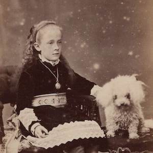 Original 1880s Little Girl & Maltese Dog CDV Photo - Carte de Visite Antique Vintage Victorian Edwardian Toy Terrier Canterbury