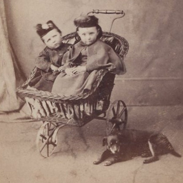 Original 1860s Manchester Terrier  & Little Children in a Pram CDV Photo - Carte de Visite Antique Vintage Victorian Edwardian Dog England