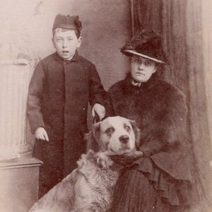 1880s St Bernard, Mother & Son CDV Photo - Carte de Visite Antique Vintage Victorian Edwardian Old Dog Portrait