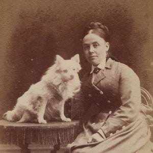 Photo originale CDV femme et Spitz blanc des années 1880 - Carte de Visite Antique vintage victorien édouardien chien West Hornsey Angleterre