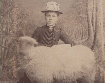 Original 1880s Woman Pedigree Sheep CDV Photo - Carte de Visite Antique Vintage Victorian Edwardian Farm Worcester England