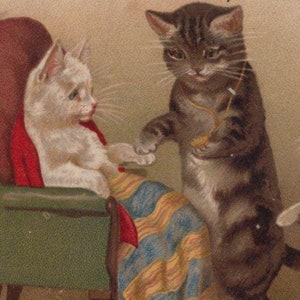Original 1900s Anthropomorphic Doctor Cats Artist Helena Maguire Postcard - Vintage Cat Victorian Edwardian Litho Chromo Kitten