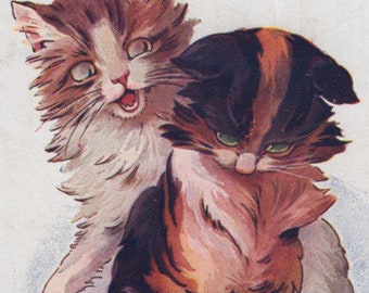 Carte postale illustrée originale signée de l'artiste A. Wuyts des années 1900 - chat vintage victorien édouardien Litho Chromo anthropomorphe