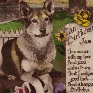 Original 1930s German Shepherd & Flowers Real Photo Postcard - Antique Vintage RPPC Hand Tinted Dog GSD Alsatian