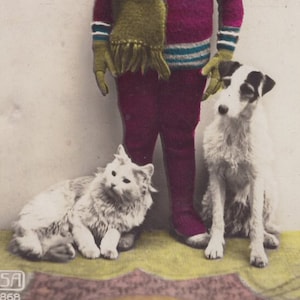 Original des années 1920, Fox terrier à poil dur, chat et enfant, véritable carte postale photo antique teintée à la main - chien RPPC victorien édouardien vintage