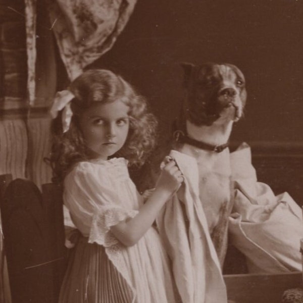 Original 1900s Little Girl Grooming Boxer Dog Real Photo Postcard - Antique Vintage Edwardian Victorian Pet Dog Pitbull RPPC
