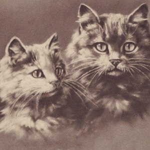 Postal ilustrada original de Minnie Keene con gatos persas de la década de 1900 firmada por el artista: gatito vintage de estilo victoriano eduardiano