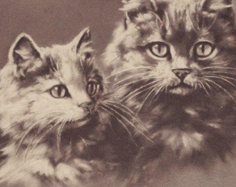 Originele jaren 1900 Perzische katten kunstenaar ondertekend Minnie Keene Illustrated ansichtkaart - Vintage Kitten Victoriaans Edwardiaans