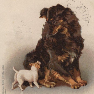 Puede incluir: Postal antigua que muestra un perro grande, sentado, con pelaje marrón y canela, mirando a un perro más pequeño blanco y canela. La postal incluye texto en alemán y un sello. Un artículo vintage de principios del siglo XX.