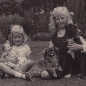 Cartolina fotografica originale degli anni '20 con bambine, pechinese, cucciolo di collie e bambola - Cane da compagnia RPPC d'epoca antico