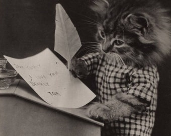 Original chaton des années 1950 déguisé en train d'écrire une lettre carte postale ancienne avec photo réelle - vintage RPPC chat robe tenue Harry libère