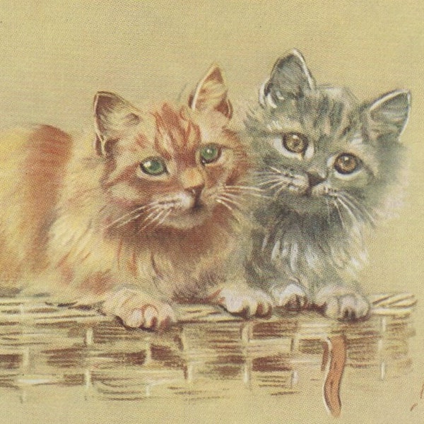 Original des années 1950 Pretty Ginger & Silver Tabby Chats à poils longs Mabel Gear Artiste signé Carte postale illustrée - Antique vintage