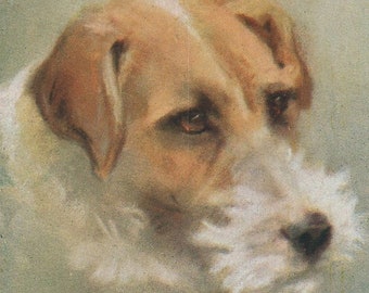 Carte postale originale des années 1910 signée par l'artiste Fox terrier à poil dur appelé « Pat » - chien vintage antique