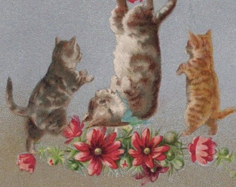 Carte postale originale des années 1900, chats et fleurs avec un coeur artiste Helena Maguire - chat vintage victorien édouardien Litho Chromo anthropomorphe