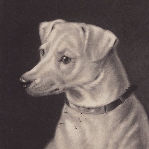 Postal ilustrada firmada por un artista Jack Russell original de la década de 1900: perro terrier vintage de estilo victoriano eduardiano