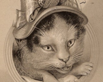 Original 1900s Anthropomorphic Black & White Cat Dressed as Old Lady Postcard - Vintage Victorian Edwardian Litho Kitten Embossed